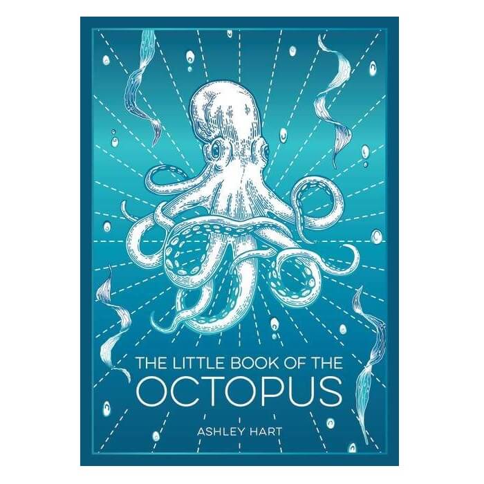 Little Book Of The Octopus