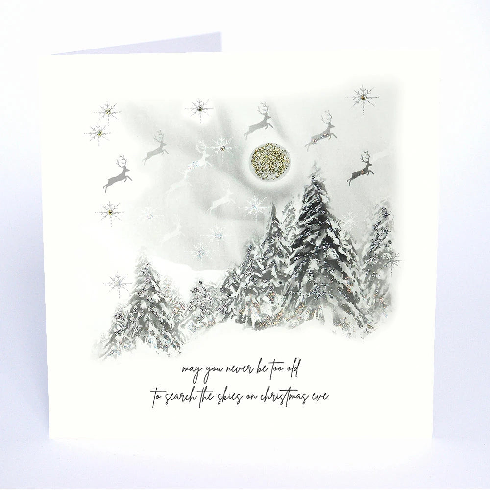 W.T.T.G. - Never Be Too Old To Search Skies KN10