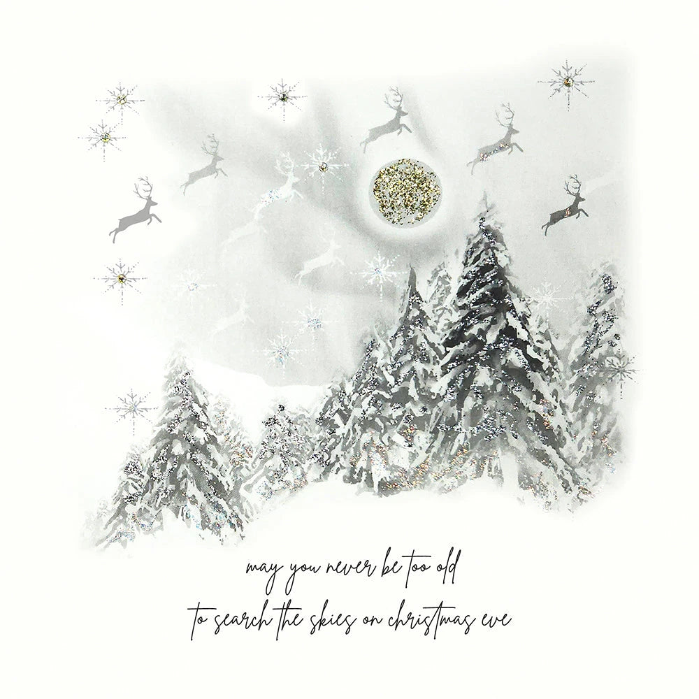 W.T.T.G. - Never Be Too Old To Search Skies KN10