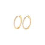Gold Plated Circle Shaped Earringswith Cubic Zirconia E1842