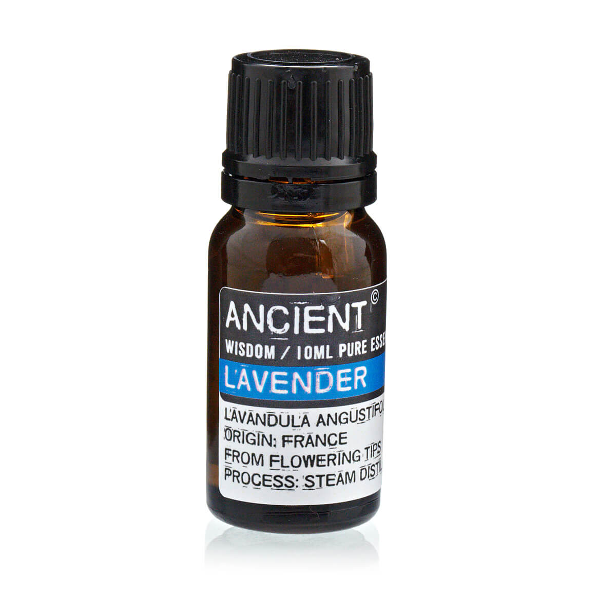 pure Lavender essential oil. High quality Southend aromatherapy stockist to buy.