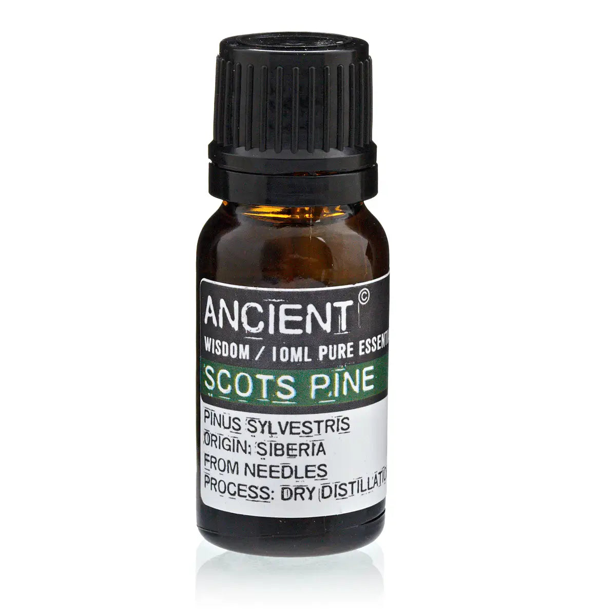 Buy Scots Pine Essential Oil in Southend