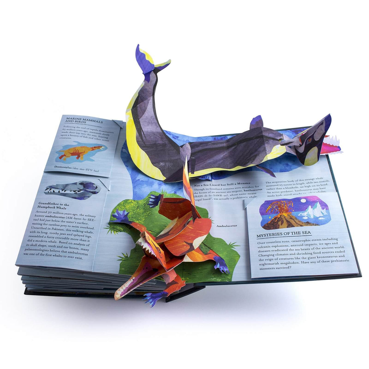 Sharks Encyclopedia Prehistorica Pop-Up Book