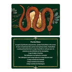 Protection Spells - 36 Cards for Magical Self-Defense