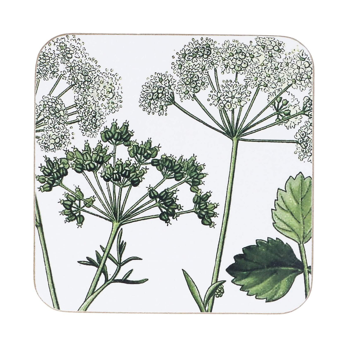 Spring Hedgerow Coasters Pack of 4