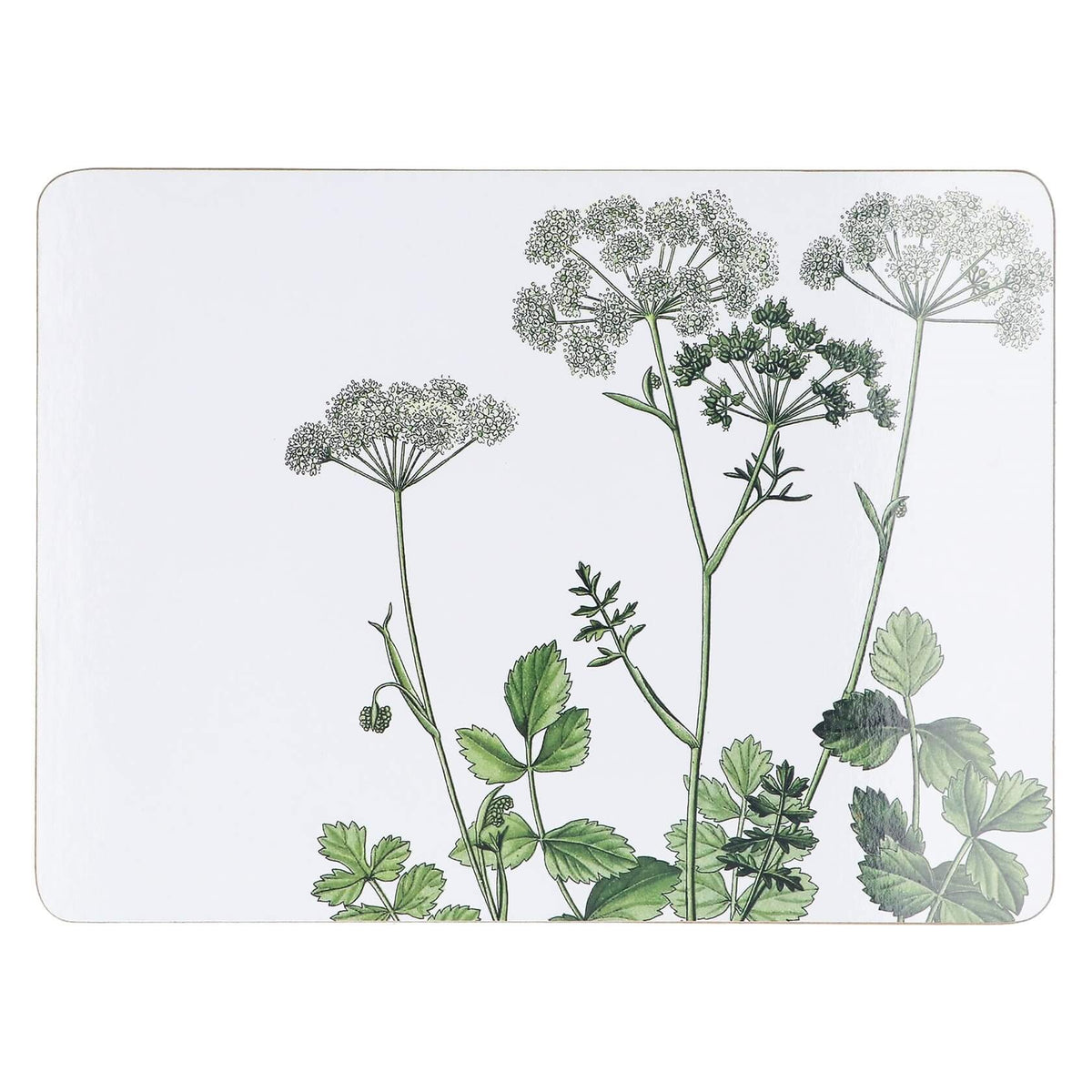 Spring Hedgerow Design Pack of 4 Placemats from Gisela Graham