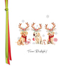 Three cute Labrador dogs wearing Rudolph antler and Christmas decorations
