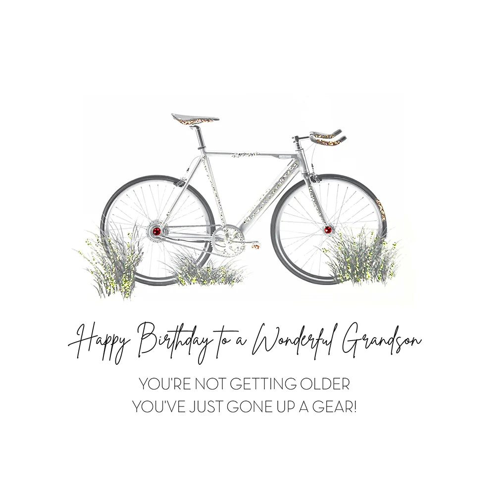 Wonderful Grandson Birthday Card - Five Dollar MR24