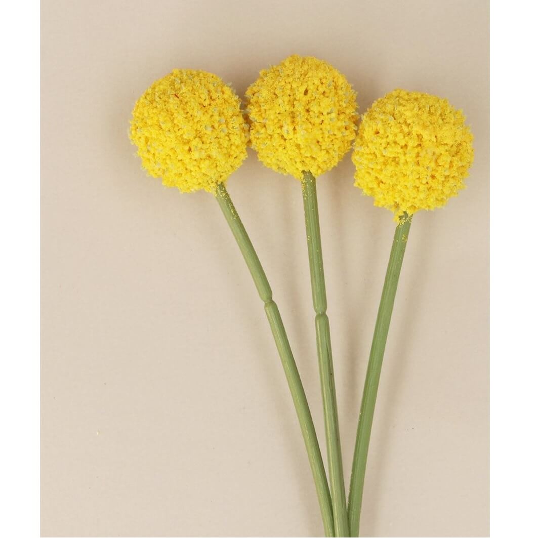 Bunch of 3 Yellow Billy Bob Flower Pick