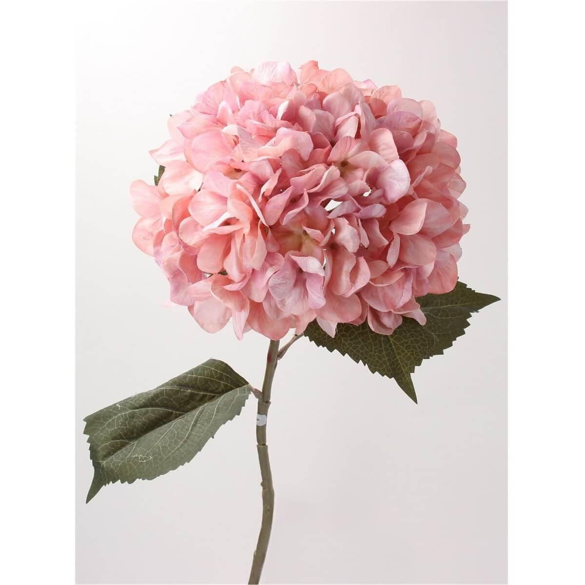 Antique Pink Giant Hydrangea Stem L83cm | Gisela Graham