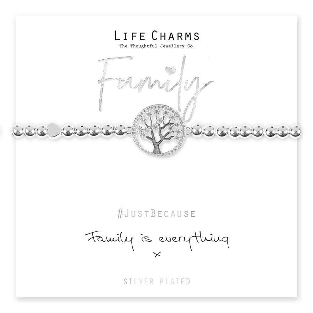 Family is everything Life Charms bracelet at Under the Sun Southend stockist