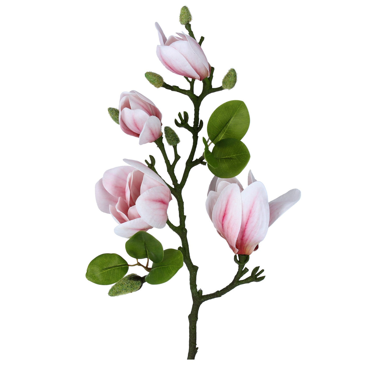 Pale Pink Magnolia Branch | Gisela Graham