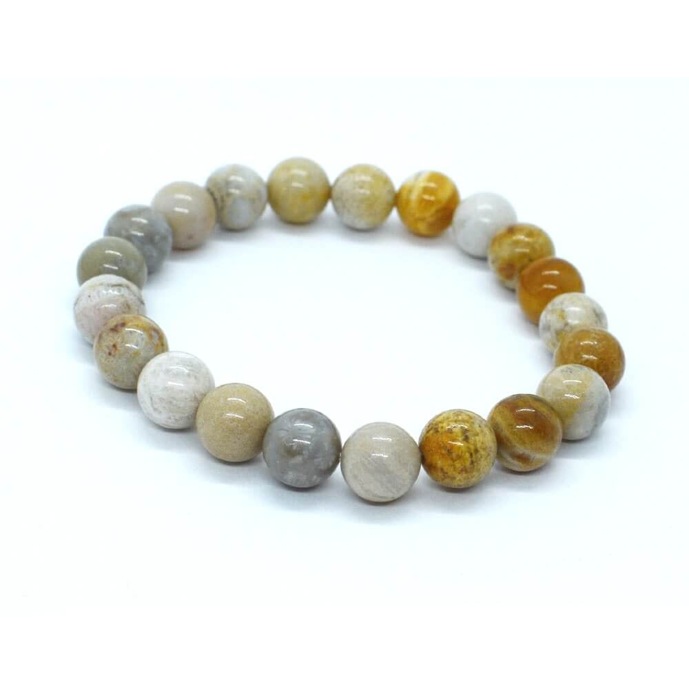 Fossil coral Bracelet with 8mm polished beads at Under the Sun, Southend