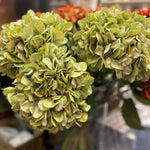A bunch of giant artificial green hydrangea stems with flower heads