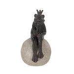 The Thinker Frog Prince On A Rock