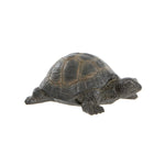 Small Tortoise Ornament Natural Colour
