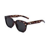 Park Lane Tortoise Sunglasses SG64